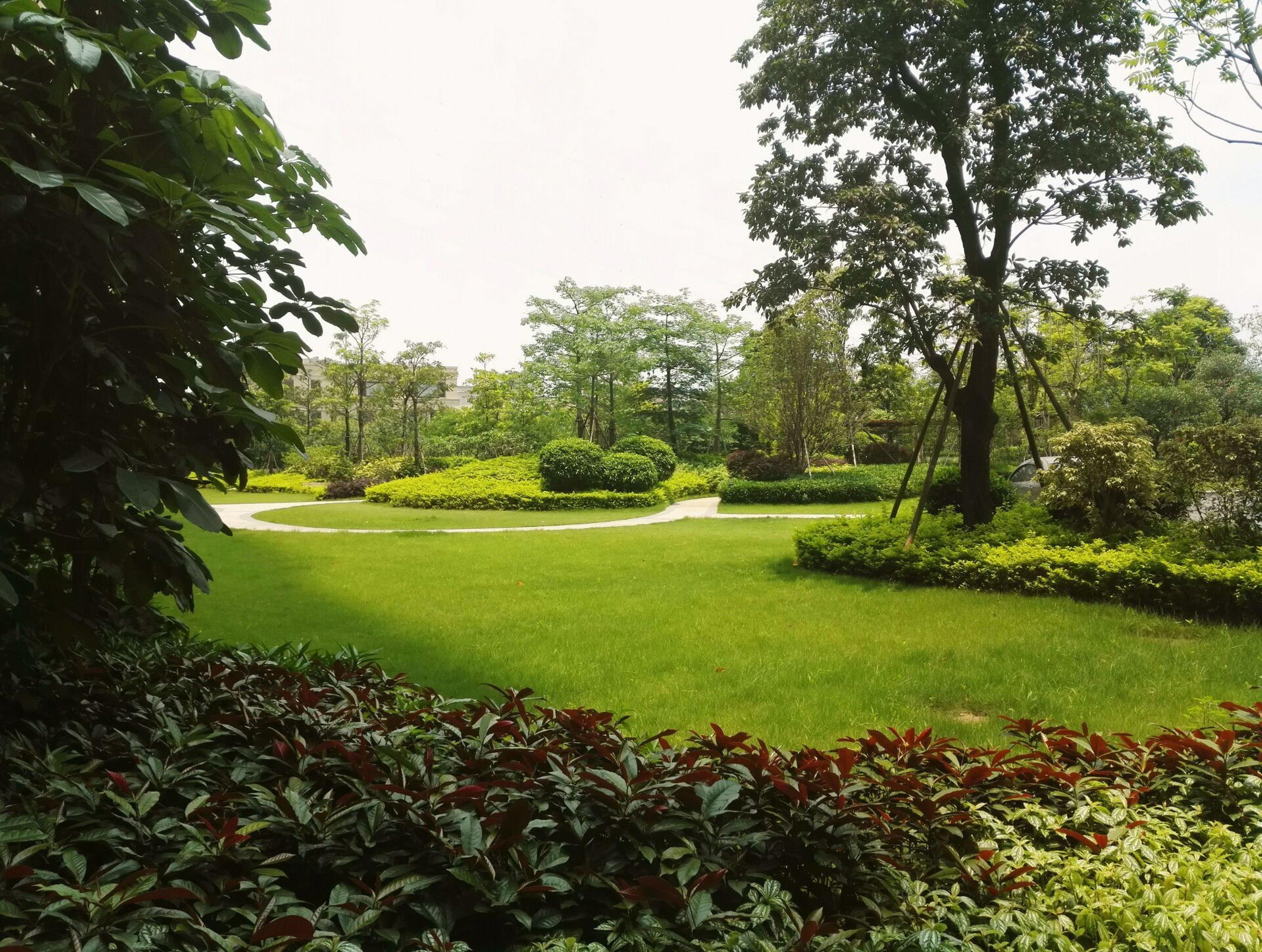 Crowne Plaza Guangzhou Zengcheng By Ihg- Canton Fair Free Shuttle Bus Eksteriør billede