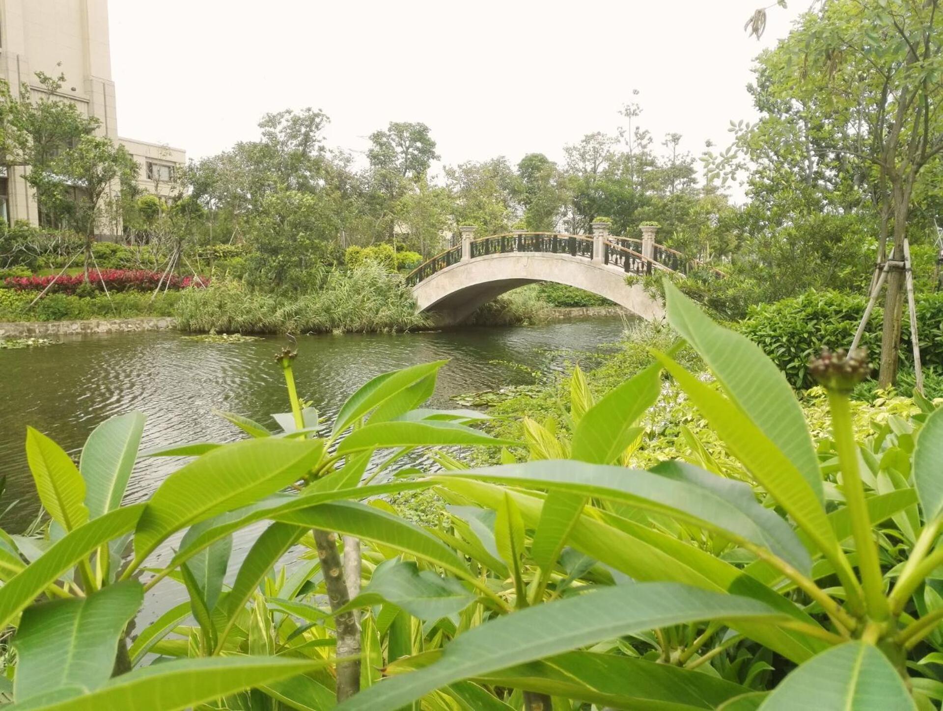 Crowne Plaza Guangzhou Zengcheng By Ihg- Canton Fair Free Shuttle Bus Eksteriør billede